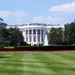 white house