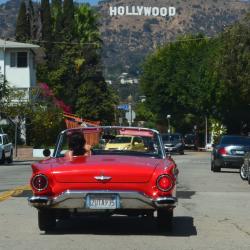 hollywood street